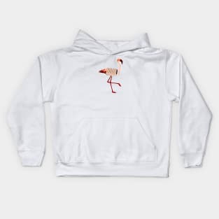 Grater Flamingo Kids Hoodie